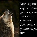 ���� �����, ������, 52 ���� - ��������� 4 ��� 2018 � ������ ���� ����������