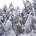 ���� ������, ������, 71 ��� - ��������� 7 ������� 2018 � ������ ���������� ������ ��ѻ