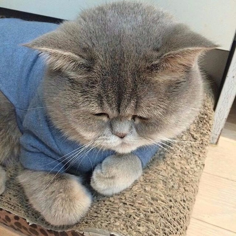   :