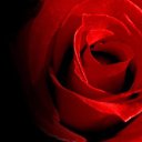 ���� �������, ������, 58 ��� - ��������� 16 ������� 2017 � ������ ���� ����������