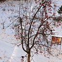 ���� Vassa, ���� - ��������� 8 ������� 2017 � ������ ������ ��������