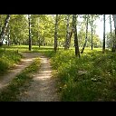  ,  -  14  2018   -2018