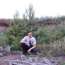 ������, ����������, 50 ���