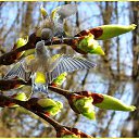 ���� �����, ������������ - ��������� 1 ������ 2018 � ������ ������ ��������