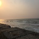 ���� ����, �����������, 42 ���� - ��������� 16 ��� 2018 � ������ ���� ����������