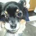 ���� �������, ������, 59 ��� - ��������� 25 ������ 2018 � ������ ���� ����������