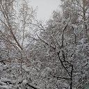 ���� �������, ��������, 41 ��� - ��������� 6 ���� 2018 � ������ ������-�����