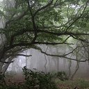���� �������, �����������, 45 ��� - ��������� 3 ���� 2018 � ������ ������ ��������