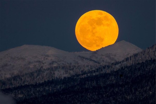 «Кровавое затмение голубой суперлуны» — фотографии со всего мира 31.01.2018 - 3