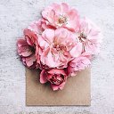 ���� Rose, ����������� - ��������� 22 ���� 2018 � ������ ���� ����������