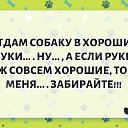 ���� ������, ������, 48 ��� - ��������� 28 ������ 2018