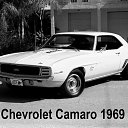 ���� �����, ���������, 36 ��� - ��������� 7 ���� 2018 � ������ ���� ����������