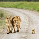 ���� �������, ���������� - ��������� 30 ������ 2017 � ������ ������ ��������