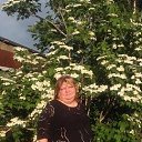 ���� ��������, �������, 58 ��� - ��������� 26 ���� 2018