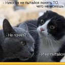 ���� ������, �������� - ��������� 13 ������� 2017 � ������ ������ ��������