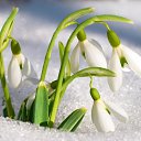 ���� ������, �������, 55 ��� - ��������� 2 ����� 2018 � ������ ������ ��������