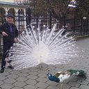 ���� �����, ������ - ��������� 23 ������ 2017 � ������ ���� ����������