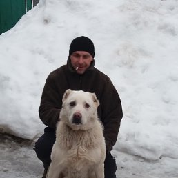 ������, �����, 38 ���