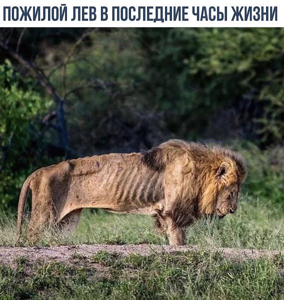    - 10  2018  02:43