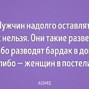 ���� �������, �����-���������, 41 ��� - ��������� 24 ���� 2018 � ������ ���� ����������