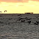  , , 60  -  1  2018    ,2017