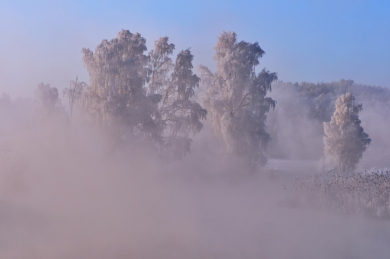 �������� �������! - 20 ������� 2018 � 18:45 - 2