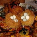 ���� �����, �����-���������, 47 ��� - ��������� 17 ���� 2018 � ������ ���� ����������