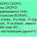 ���� A, ���� - ��������� 2 ������� 2017 � ������ ������ ��������