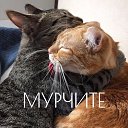 ���� ���������, ������ - ��������� 11 ������ 2018