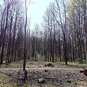 ���� �����, �����-���������, 44 ���� - ��������� 13 ��� 2018 � ������ �������� ����� �������.�