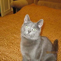 Val F, �������, 53 ����