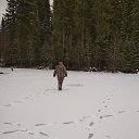 ���� ������, ������-������, 64 ���� - ��������� 10 ������� 2017 � ������ ���� ����������