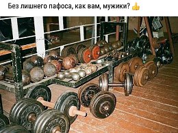 �����������