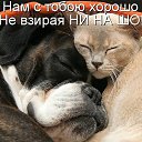 ���� ����, �����-��������� - ��������� 14 ������� 2017 � ������ ���� ����������