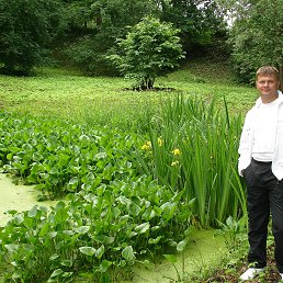 ���� �������, �������������, 45 ��� - ��������� 3 ������� 2017