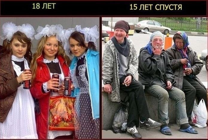 Aleks - 1  2017  15:18