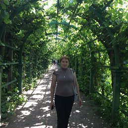 ���� ������, ������ �����, 58 ��� - ��������� 14 ���� 2018