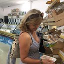 ���� ������, ��������� - ��������� 3 ���� 2018 � ������ ���� ����������