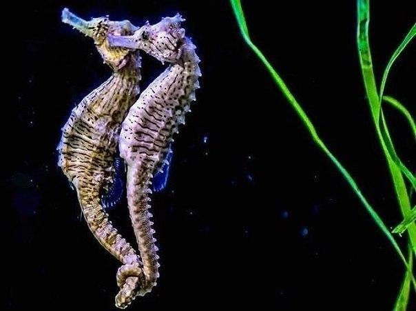  !        .    ,  ...