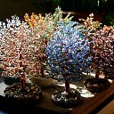 �����, ��������� �� ���� 2017-2018 �� ������� ���� ��������߻