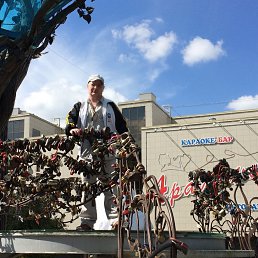 ���� ������, ���������, 56 ��� - ��������� 19 ������ 2017