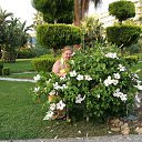 ���� ������, ��������� - ��������� 18 ������ 2018 � ������ ���� ����������