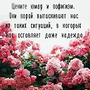 ���� ��������, ������ - ��������� 23 ����� 2018 � ������ ���� ����������