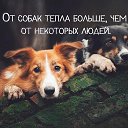 ���� �����, ���������, 62 ���� - ��������� 7 ��� 2018 � ������ ���� ����������