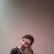 �����, 43 ����, �����������