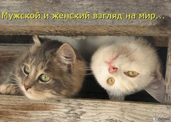� ����� �����! - 5 ������� 2017 � 06:50