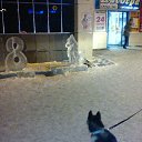 ���� ������, �������������, 48 ��� - ��������� 15 ������� 2017 � ������ ���� ����������