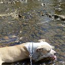 ���� Stoit, ������� - ��������� 21 ������ 2018