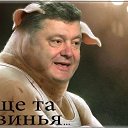 ���� �������, ������, 54 ���� - ��������� 23 ������� 2018 � ������ ���� ����������