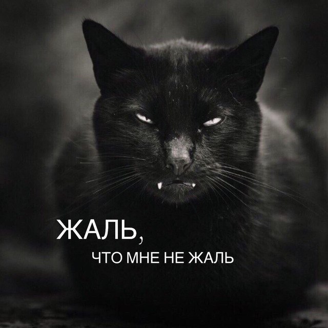 JPG - 12  2018  02:39